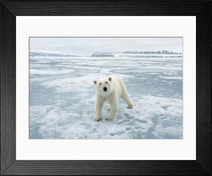 Framed Print : DDE-90033963 Framed Print : DDE-90033963