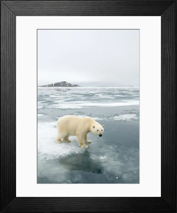 Framed Print : DDE-90033964 Framed Print : DDE-90033964