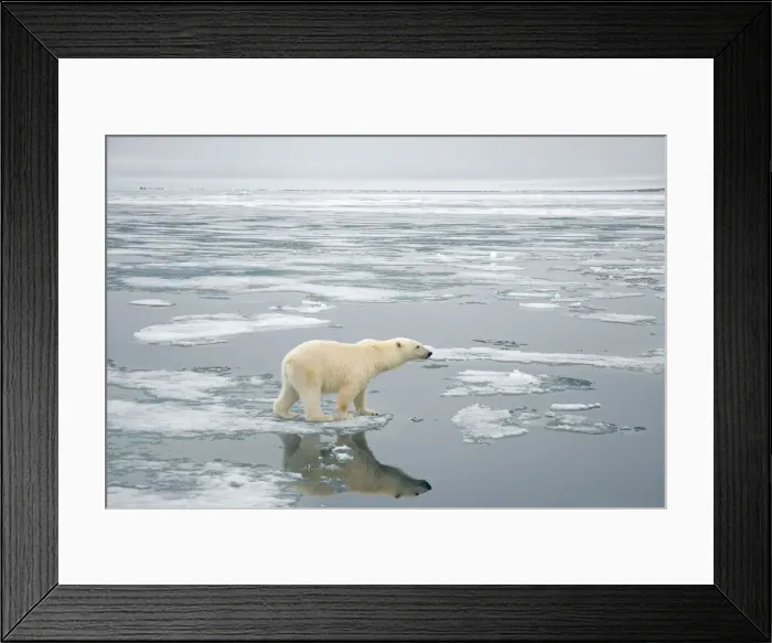 Framed Print : DDE-90033966 Framed Print : DDE-90033966