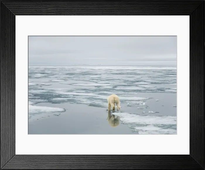 Framed Print : DDE-90033967 Framed Print : DDE-90033967