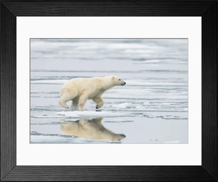 Framed Print : DDE-90033968 Framed Print : DDE-90033968
