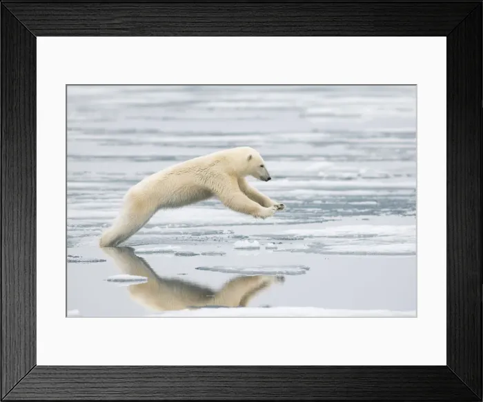 Framed Print : DDE-90033970 Framed Print : DDE-90033970