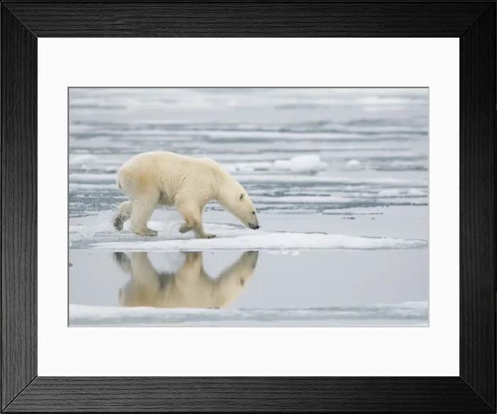 Framed Print : DDE-90033972 Framed Print : DDE-90033972