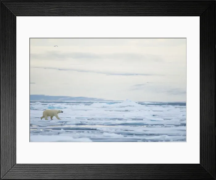 Framed Print : DDE-90033987 Framed Print : DDE-90033987