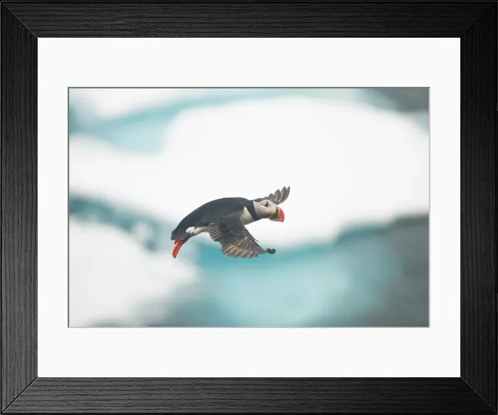 Framed Print : DDE-90033996 Framed Print : DDE-90033996