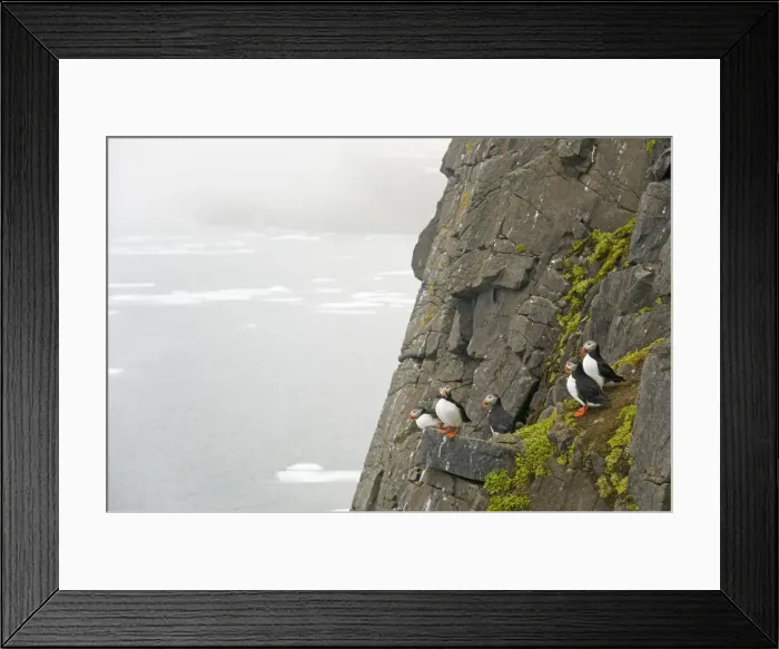 Framed Print : DDE-90033995 Framed Print : DDE-90033995