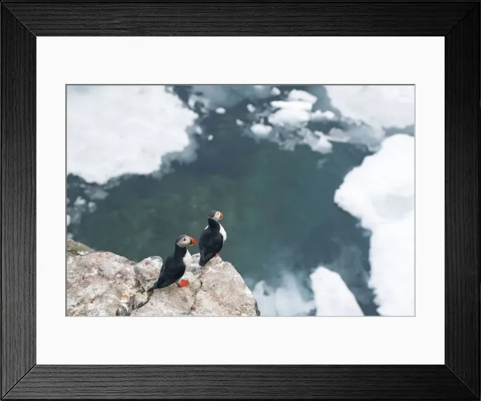 Framed Print : DDE-90033997 Framed Print : DDE-90033997