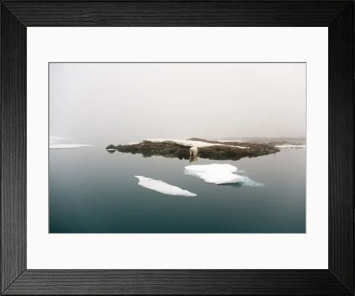 Framed Print : DDE-90034002