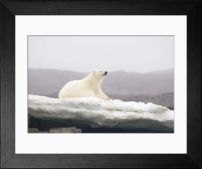 Framed Print : DDE-90034003 Framed Print : DDE-90034003
