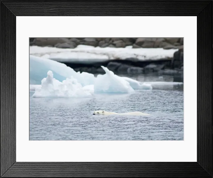 Framed Print : DDE-90034008 Framed Print : DDE-90034008