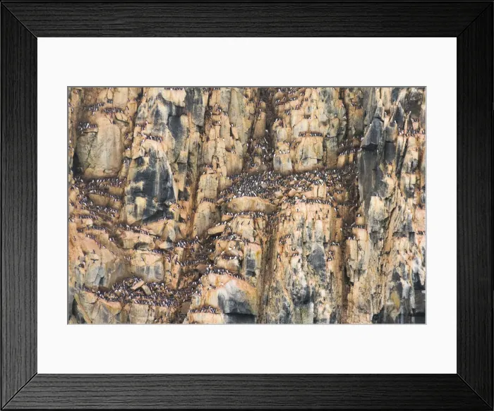 Framed Print : DDE-90034009