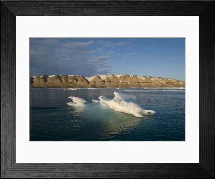 Framed Print : DDE-90034014 Framed Print : DDE-90034014
