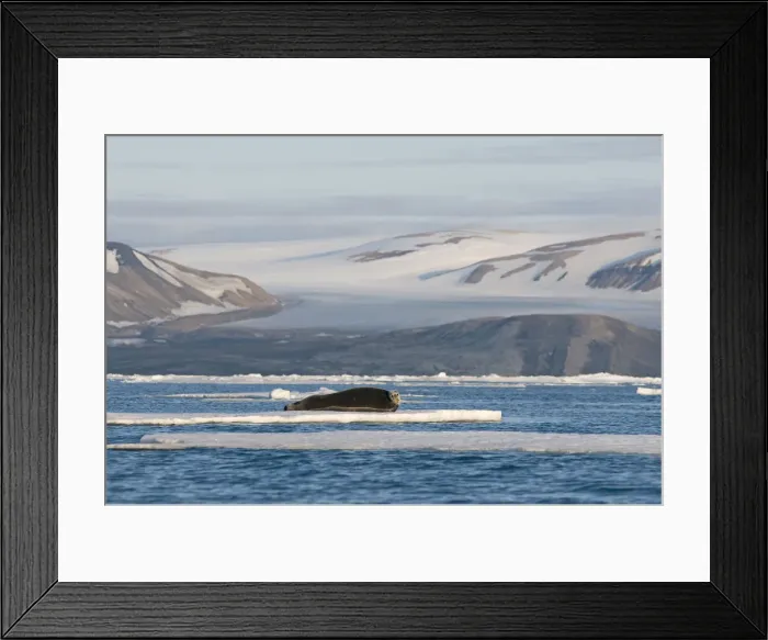 Framed Print : DDE-90034013 Framed Print : DDE-90034013