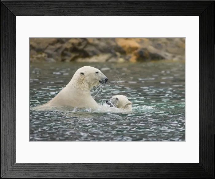 Framed Print : DDE-90034024 Framed Print : DDE-90034024
