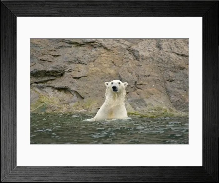 Framed Print : DDE-90034025 Framed Print : DDE-90034025