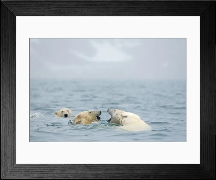 Framed Print : DDE-90034030