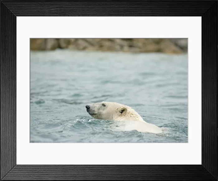 Framed Print : DDE-90034031 Framed Print : DDE-90034031