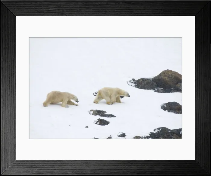 Framed Print : DDE-90034033 Framed Print : DDE-90034033