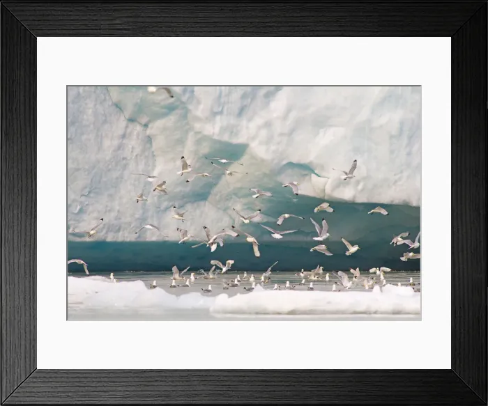 Framed Print : DDE-90034035 Framed Print : DDE-90034035