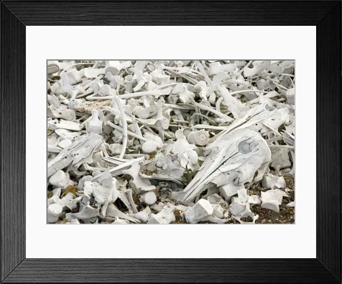 Framed Print : DDE-90034034 Framed Print : DDE-90034034
