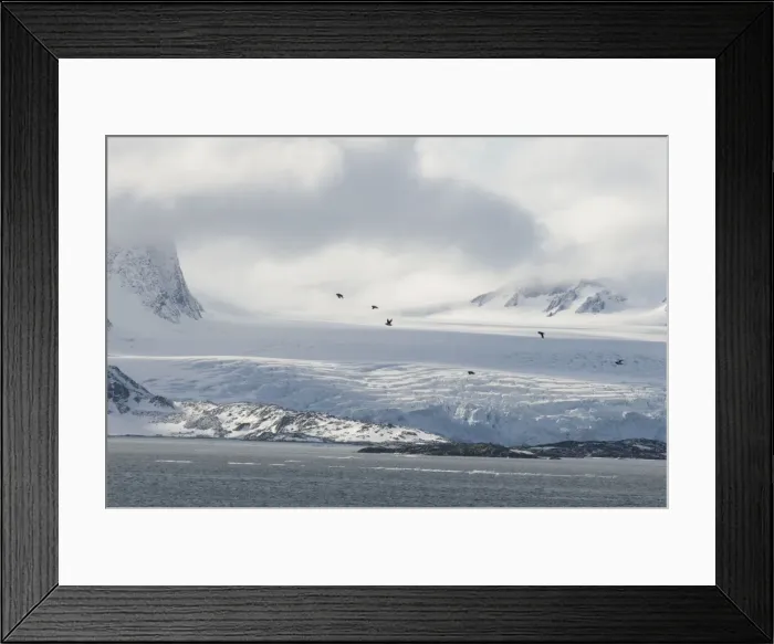 Framed Print : DDE-90034043 Framed Print : DDE-90034043