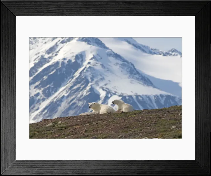 Framed Print : DDE-90034049 Framed Print : DDE-90034049