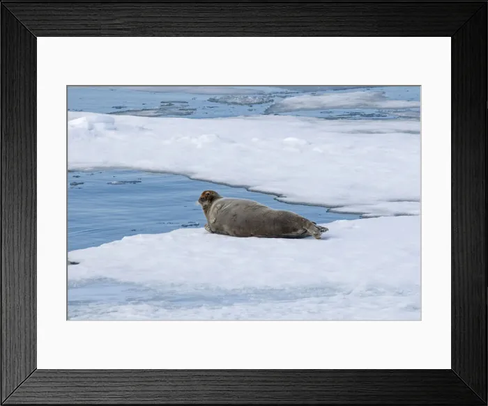 Framed Print : DDE-90034061