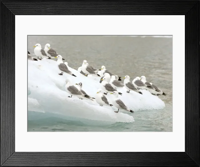 Framed Print : DDE-90034071