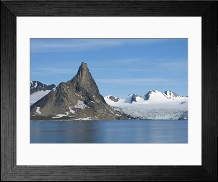 Framed Print : DDE-90034077