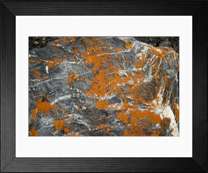 Framed Print : DDE-90034082 Framed Print : DDE-90034082