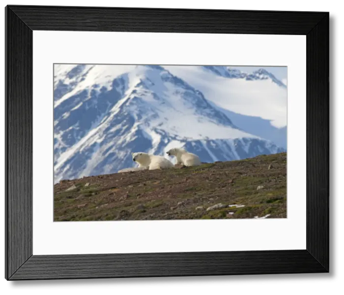 Framed Print : DDE-90034100 Framed Print : DDE-90034100