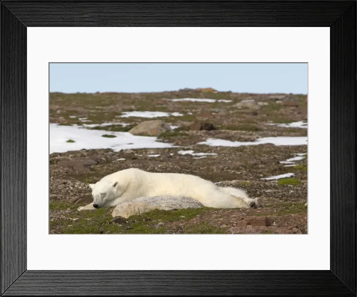 Framed Print : DDE-90034102 Framed Print : DDE-90034102