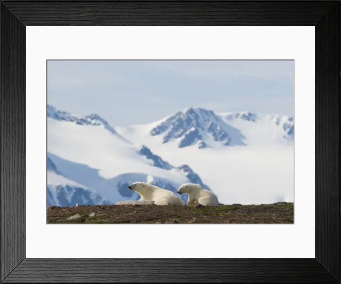 Framed Print : DDE-90034101 Framed Print : DDE-90034101