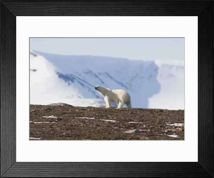Framed Print : DDE-90034107 Framed Print : DDE-90034107