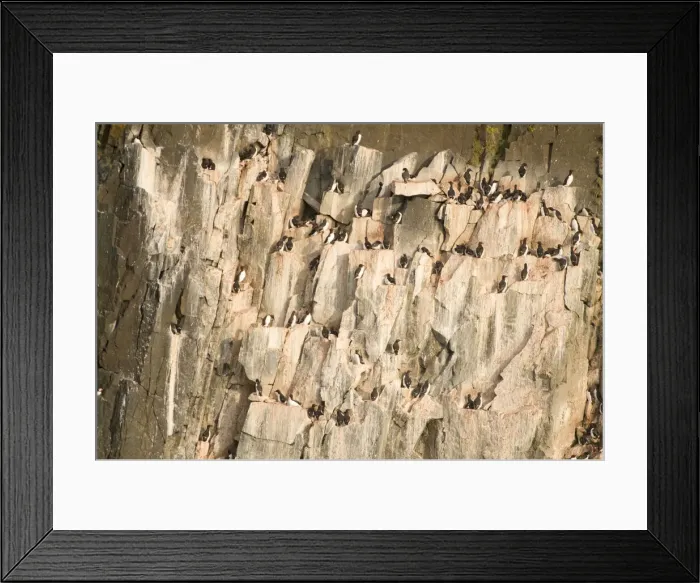 Framed Print : DDE-90034116 Framed Print : DDE-90034116