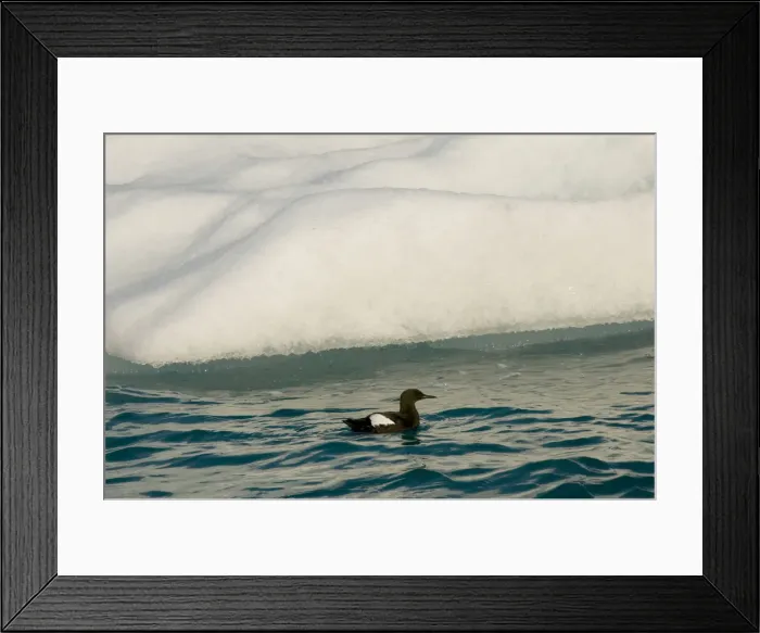 Framed Print : DDE-90034165 Framed Print : DDE-90034165