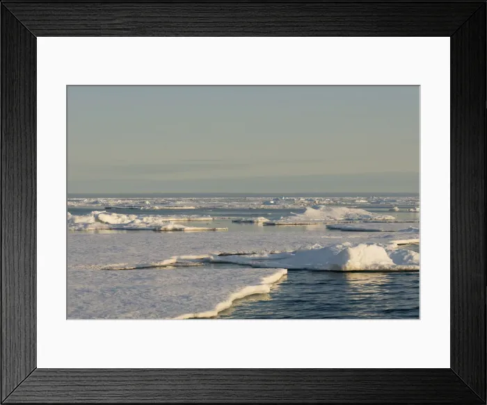Framed Print : DDE-90034166 Framed Print : DDE-90034166