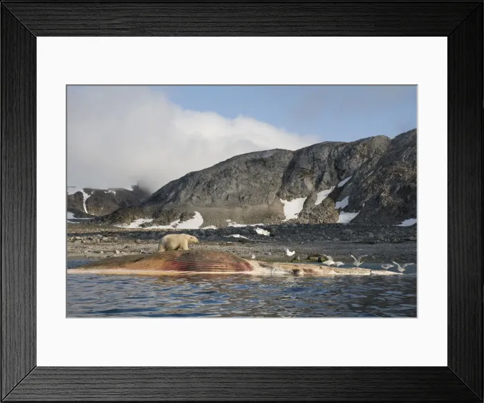 Framed Print : DDE-90034169 Framed Print : DDE-90034169