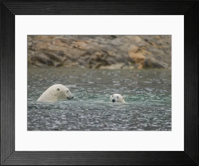 Framed Print : DDE-90034176 Framed Print : DDE-90034176