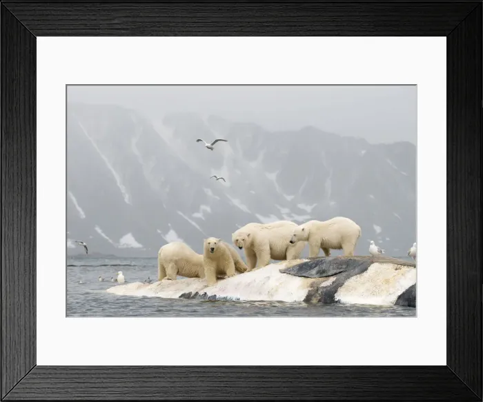 Framed Print : DDE-90034177