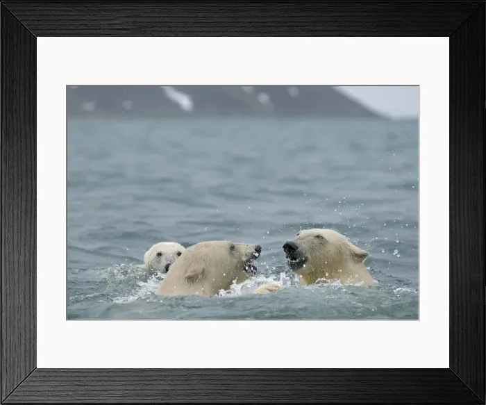 Framed Print : DDE-90034180 Framed Print : DDE-90034180
