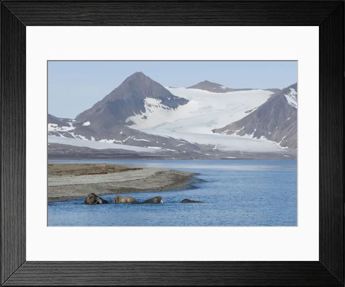 Framed Print : DDE-90034210