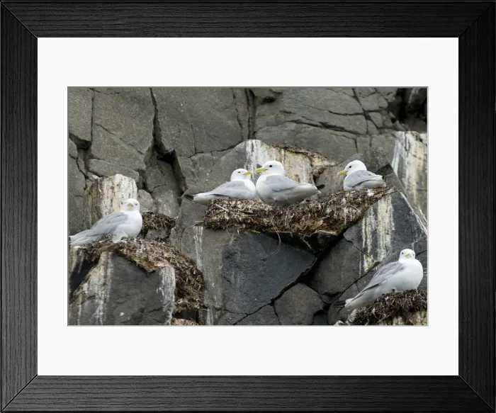 Framed Print : DDE-90034219