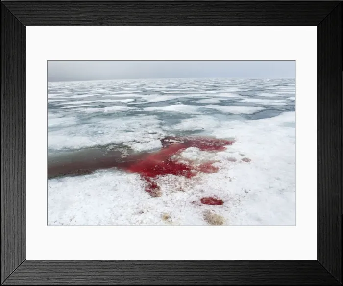 Framed Print : DDE-90034223 Framed Print : DDE-90034223