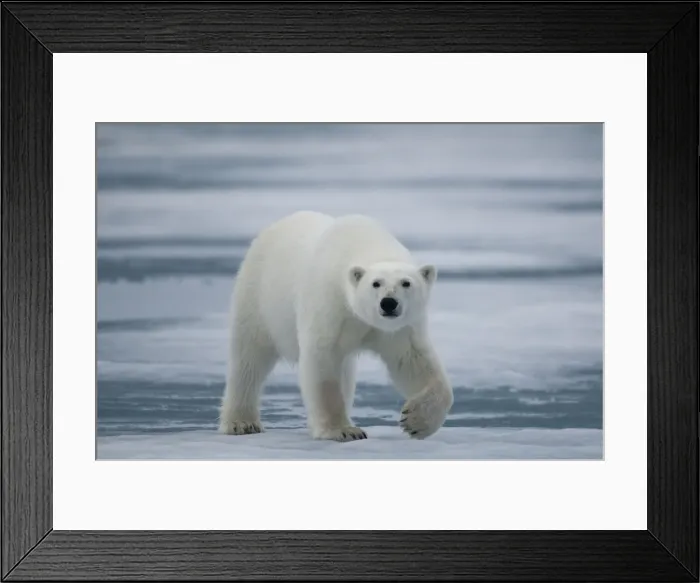 Framed Print : DDE-90034225 Framed Print : DDE-90034225