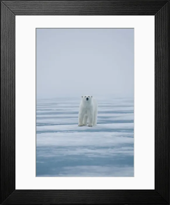 Framed Print : DDE-90034226 Framed Print : DDE-90034226