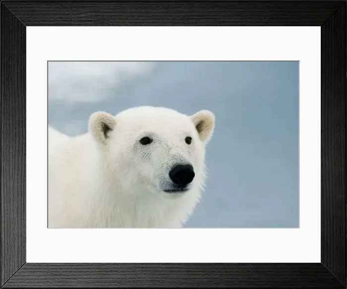 Framed Print : DDE-90034230 Framed Print : DDE-90034230