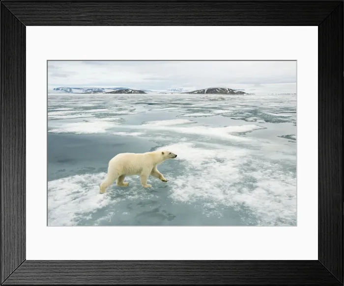 Framed Print : DDE-90034232 Framed Print : DDE-90034232