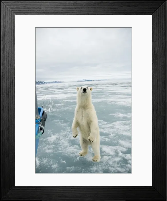 Framed Print : DDE-90034233 Framed Print : DDE-90034233