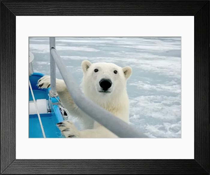 Framed Print : DDE-90034234 Framed Print : DDE-90034234